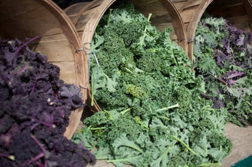 Advantages of Kale: Top Health Benefits and Nutritional Value
