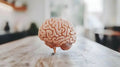Pineal Gland Health