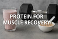 Protein for Muscle Recovery