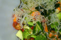 A Stir Fry that is Stirred, Not Fried