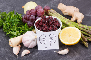 what foods help repair kidneys and liver