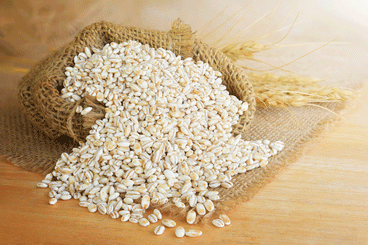 What Is Upcycled Protein