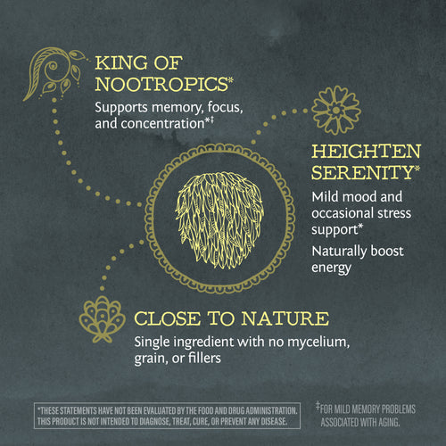 Be•Well Organic Lion's Mane Mushroom Powder Offer Special Sunwarrior   
