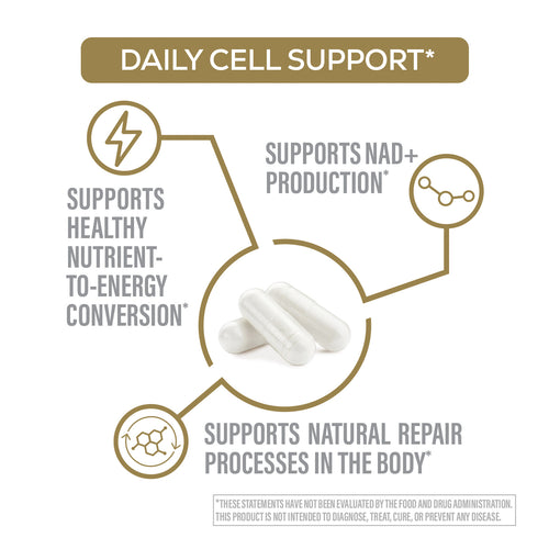 Diagram of daily cell support with text and a pill icon on a white background