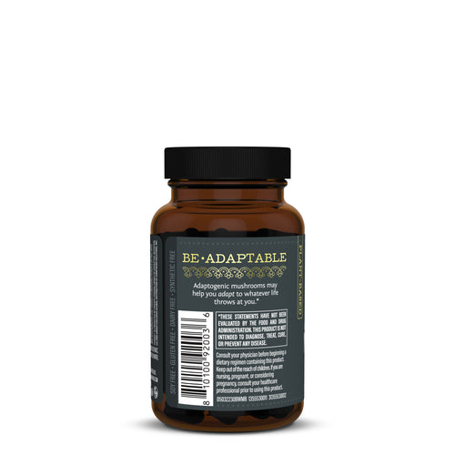 Free Product Special Sunwarrior